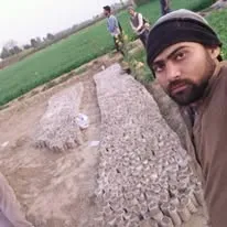 Green Seekers Activity